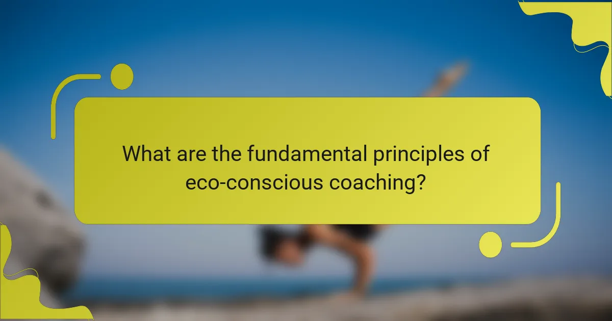 What are the fundamental principles of eco-conscious coaching?